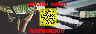 стафф Кингисепп