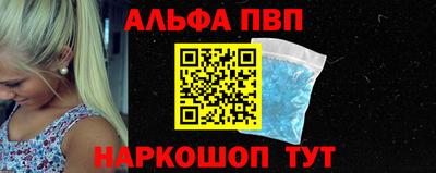 стафф Кингисепп
