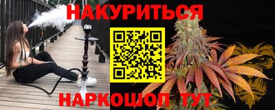 стафф Кингисепп