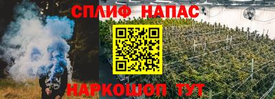 стафф Кингисепп