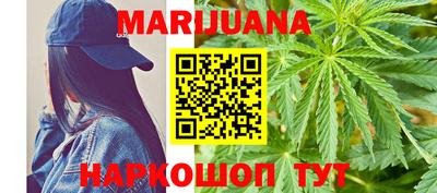 стафф Кингисепп