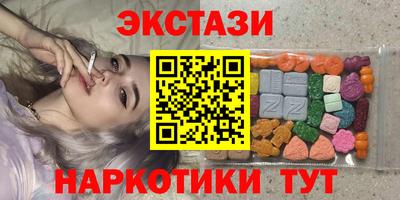 стафф Кингисепп