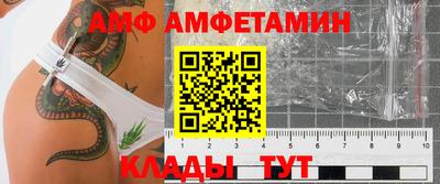 стафф Кингисепп