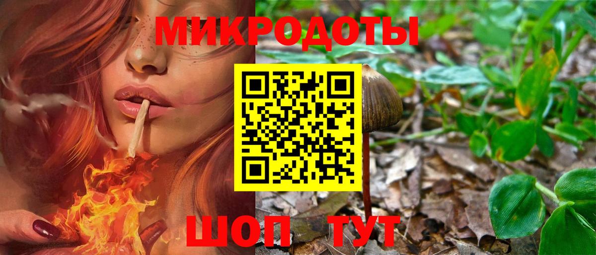 Псилоцибиновые грибы MAGIC MUSHROOMS Канаш