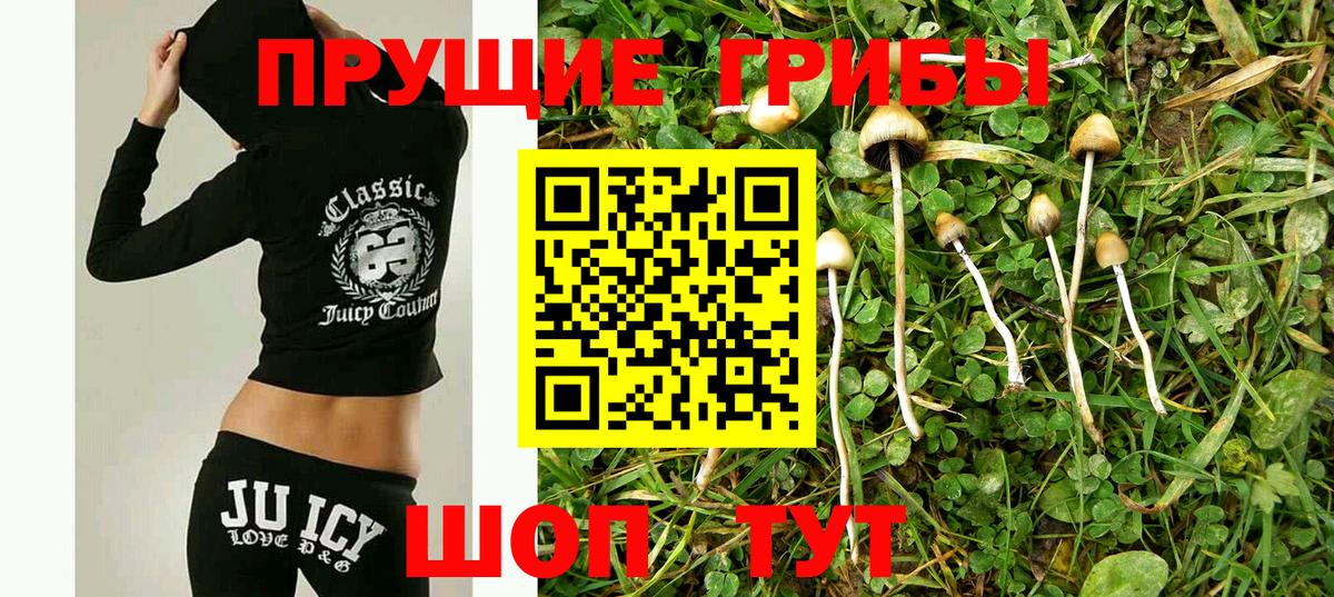 Канаш  Псилоцибиновые грибы Psilocybine cubensis  Галлюциногенные грибы ЛСД  Вход с VPN 