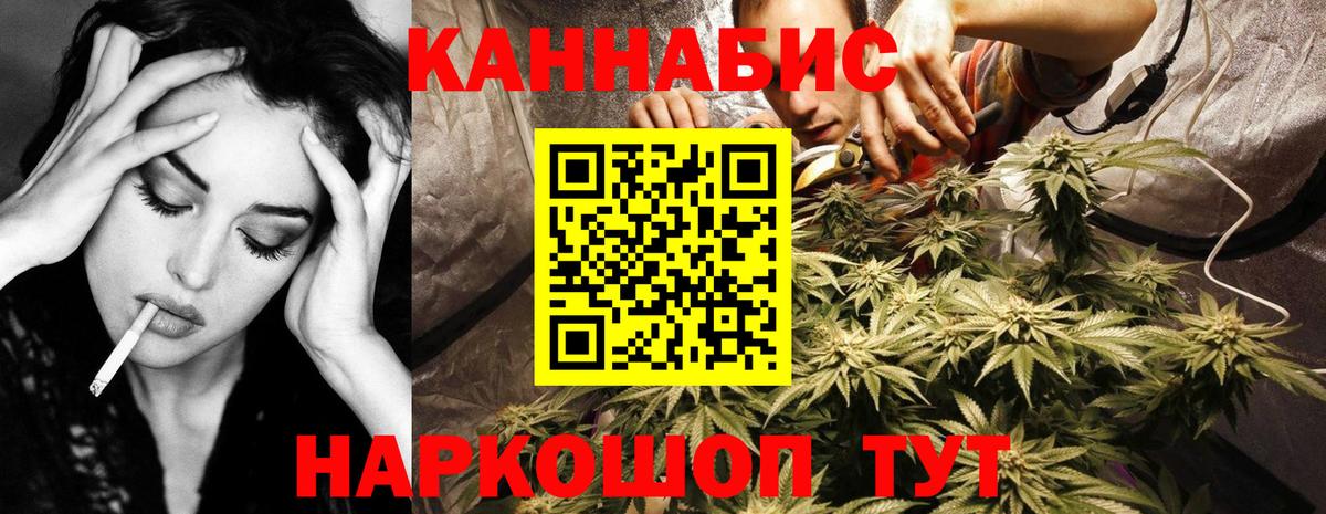 Канабис сатива Канаш